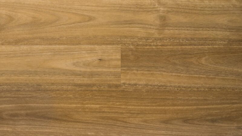 Spotted Gum - Image 3