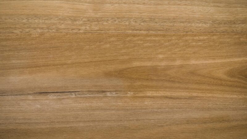 Spotted Gum - Image 4